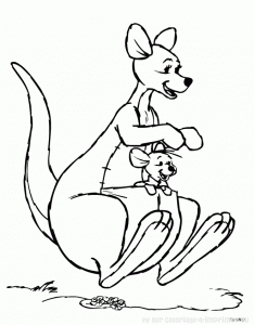 Desenho de canguru grátis para descarregar e colorir