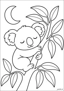 Koala adormecido sob a lua