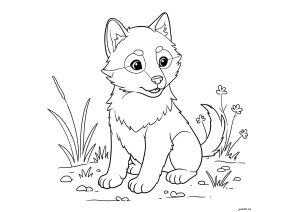 Lobo Jovem Na Natureza