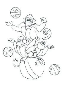 Macacos De Circo, A Brincar Numa Bola Grande