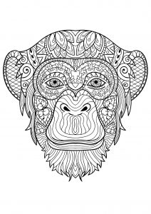 Páginas de coloração de macacos para as crianças imprimirem