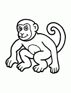 Imagem de macaco para descarregar e colorir