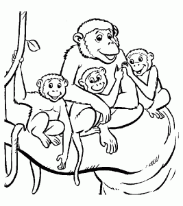 Páginas de coloração de macacos para crianças