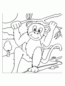 Imagem de macaco para descarregar e colorir - Macacos - Just Color