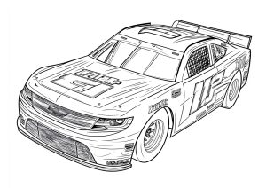 Belo carro da Nascar