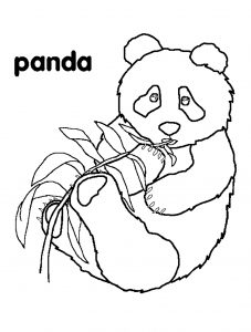 Desenhos animados de panda comendo bambu para colorir para crianças