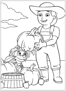 Paw Patrol: Abóbora Partida