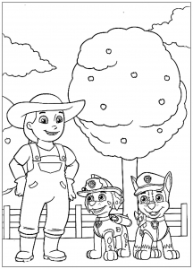 Paw Patrol: Com O Agricultor