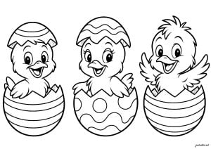 Pintinhos felizes nascidos dos ovos