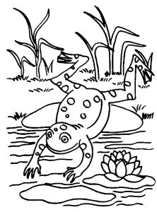 Imagem De Sapo Para Imprimir E Colorir