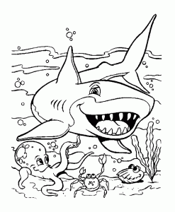 Desenho De Tubarão Grátis Para Descarregar E Colorir