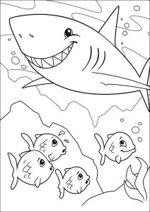 Peixe Assustado Por Um Tubarão ...