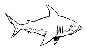 Páginas de coloração de tubarões gratuitas