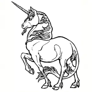 Páginas De Coloração De Unicórnio Para Crianças