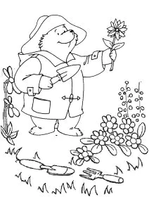 Desenhos para colorir para crianças de urso-paddington