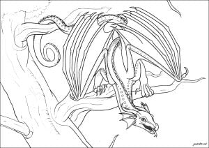 Desenhos para colorir gratuitos de wings of fire para imprimir
