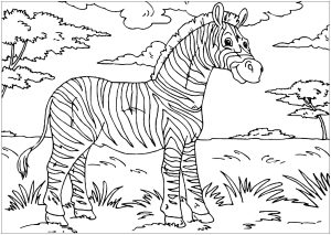 Uma bela zebra na savana
