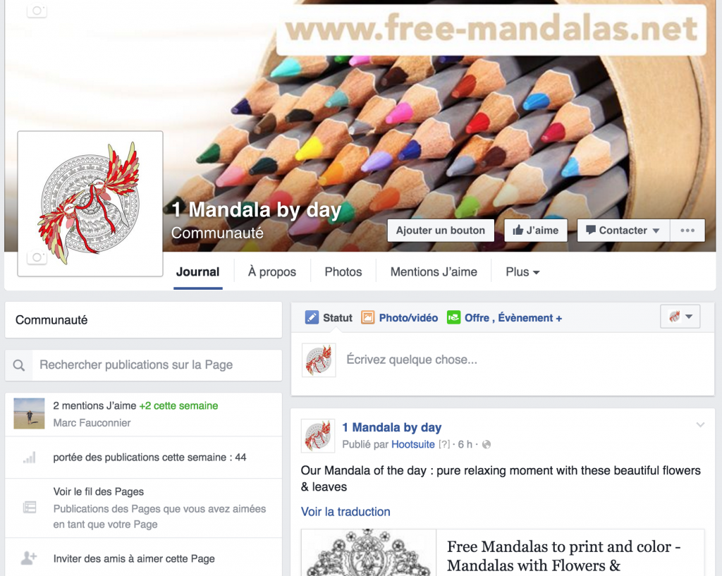 Facebook 1 Mandala by Day