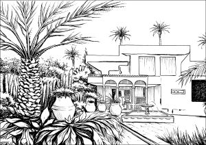 Jardin Majorelle en Marrakech – Un Legado de Yves Saint Laurent y Naturaleza Frondosa