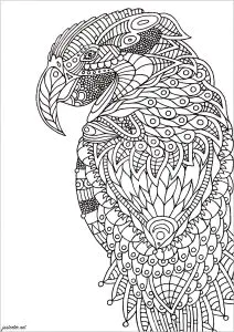 Zentangle Loro