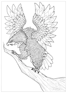Impresionante águila Lista Para Volar