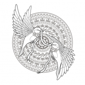 Aves 8283