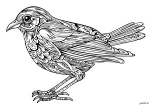 Pájaro con dibujos regulares e intrincados