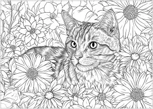 Un Gato Bonito Y Realista, Con Muchas Flores Para Colorear.
