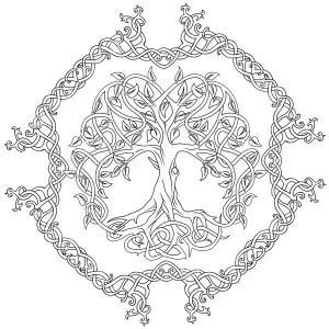 Árbol De La Vida Y Contorno Celta