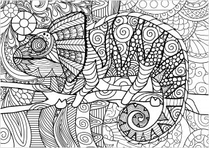 Camaleón En Una Rama Con Dibujos
