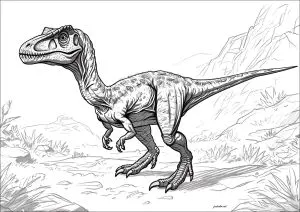 Velociraptor Para Colorear
