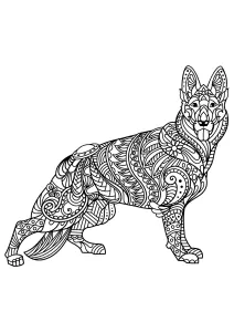 Perros 44400