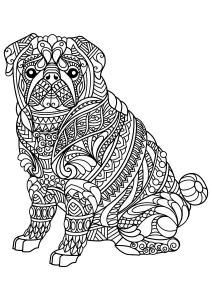 Bulldog Sentado Y Bonitos Dibujos