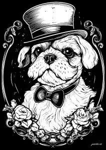 Perro Con Sombrero
