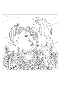 Dragón Para Colorear Con Muchos Detalles