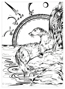 La Nutria