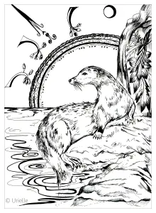 La Nutria