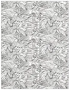 Muchos Peces Para Colorear