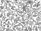 Insectos 16443