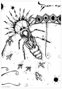 insectos-17781