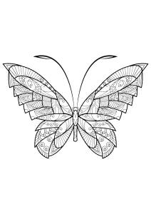 Insectos 80831