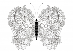 mariposas-e-insectos-47108