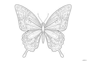 Colorear Una Mariposa Con Alas Llenas De Detalles Y Motivos