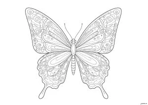 Colorear una mariposa con alas llenas de detalles y motivos