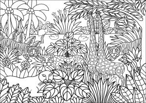 Animales De La Selva  Estilo Artístico Naif 