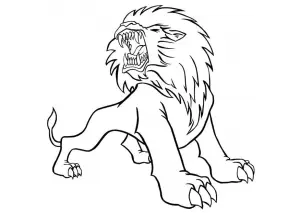 Animales 55543