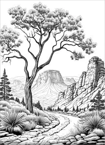 Paisaje Del Lejano Oeste