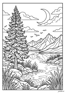 Pino, lago y montañas tranquilas