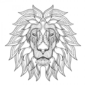 leones-62620