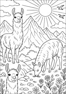 Llamas andinas